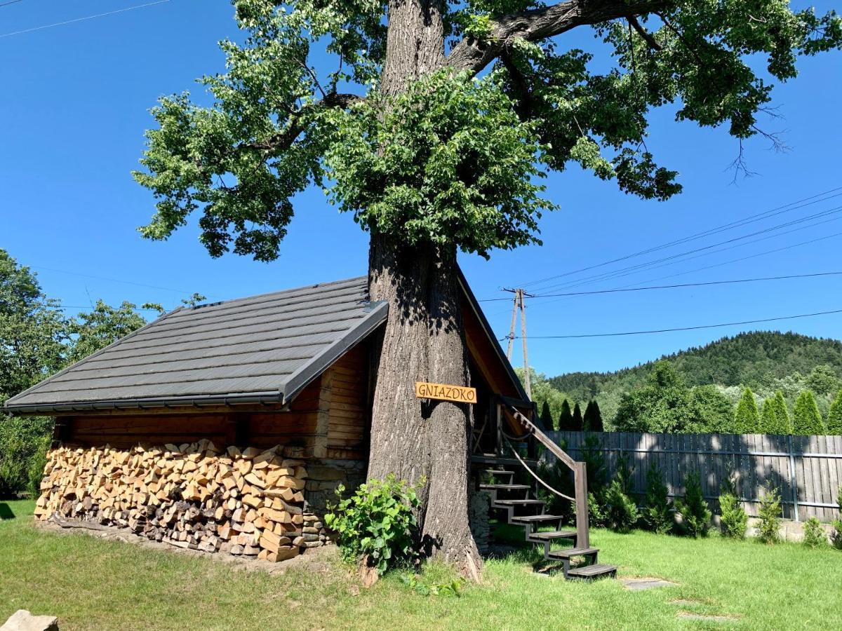 Villa Zacisze Pod Lipa *